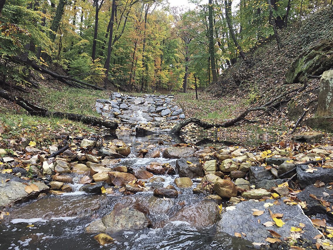 Stream in Alger Park, DC, after restoration